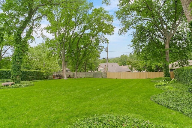 8122 Parkhill Rd, Lenexa, KS 66215 - view of yard