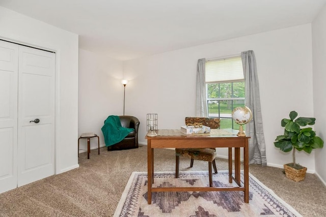8122 Parkhill Rd, Lenexa, KS 66215 - carpeted office featuring baseboards