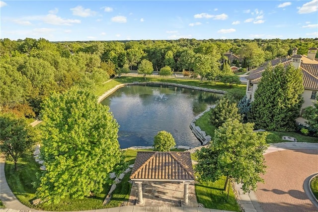 3116 W 137th St, Leawood, KS 66224 - aerial view of a forest