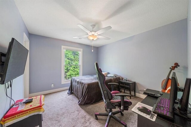 3705 SW Kimstin Cir, Blue Springs, MO 64015 - photo 23