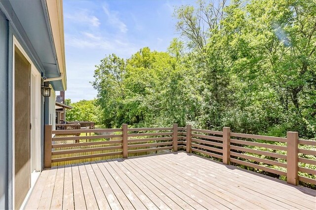 3705 SW Kimstin Cir, Blue Springs, MO 64015 - photo 41