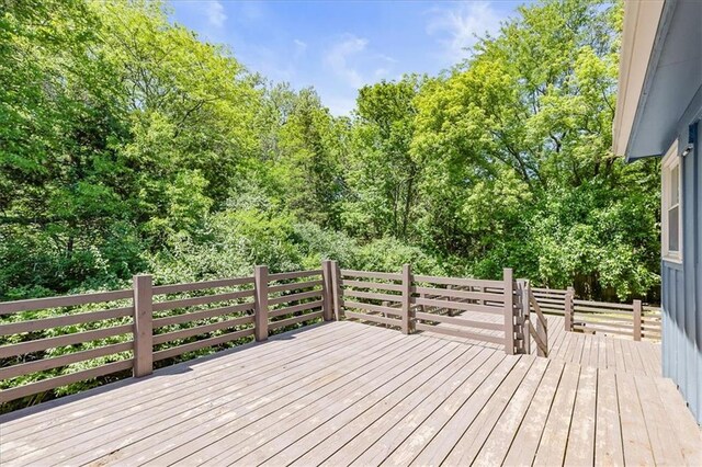 3705 SW Kimstin Cir, Blue Springs, MO 64015 - photo 42