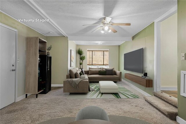906 W 84th St, Kansas City, MO 64114 - carpeted living room featuring a textured ceiling and a ceiling fan