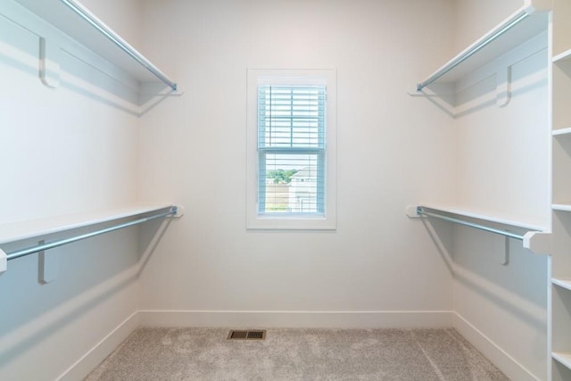 16721 Pinehurst Dr, Basehor, KS 66007 - spacious closet featuring carpet flooring