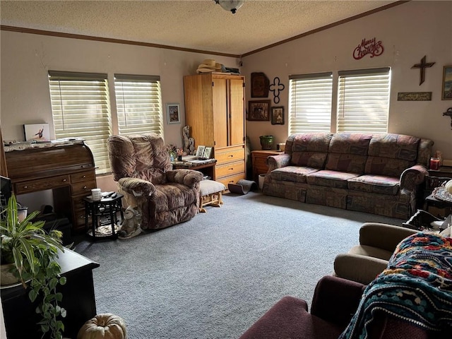 476 170th St, Fort Scott, KS 66701 - carpeted living room featuring crown molding, a textured ceiling, plenty of natural light, and vaulted ceiling