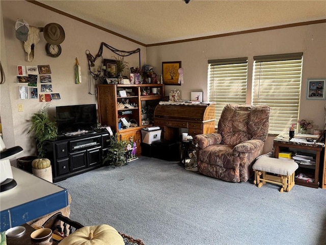 476 170th St, Fort Scott, KS 66701 - carpeted living area with ornamental molding and a textured ceiling