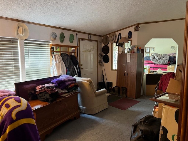 476 170th St, Fort Scott, KS 66701 - living room with crown molding, plenty of natural light, a textured ceiling, and carpet flooring