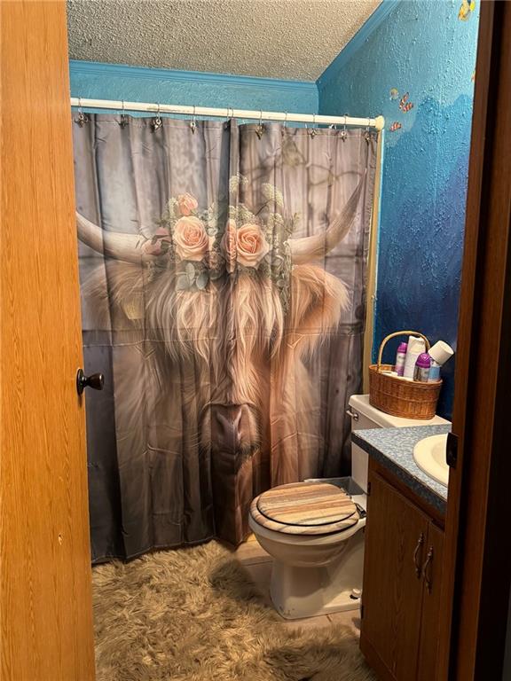 476 170th St, Fort Scott, KS 66701 - bathroom featuring toilet, vanity, a textured ceiling, a shower with shower curtain, and a textured wall