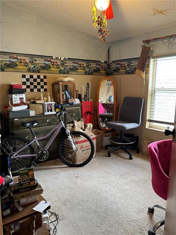 476 170th St, Fort Scott, KS 66701 - interior space with carpet floors, a textured ceiling, and lofted ceiling