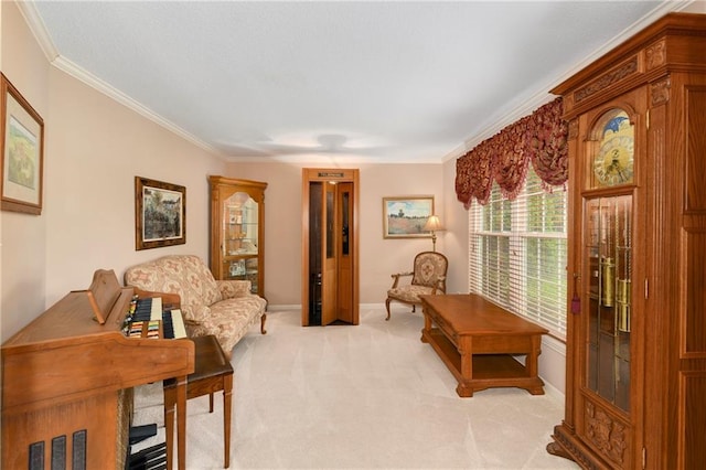 800 Ash Ct, Lansing, KS 66043 - living area featuring ornamental molding, light colored carpet, and baseboards