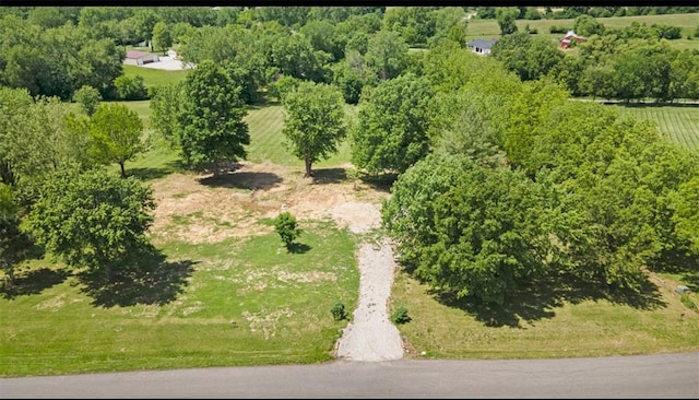 14406 Kimberly Dr, Excelsior Springs, MO 64024