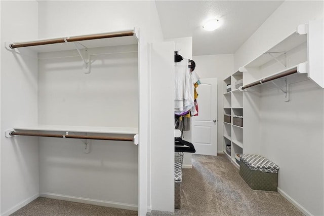 7611 N Adrian Ave, Kansas City, MO 64151 - photo 30