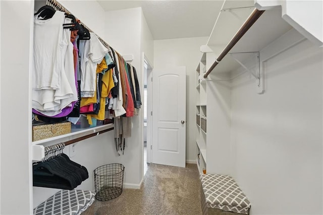 7611 N Adrian Ave, Kansas City, MO 64151 - photo 31