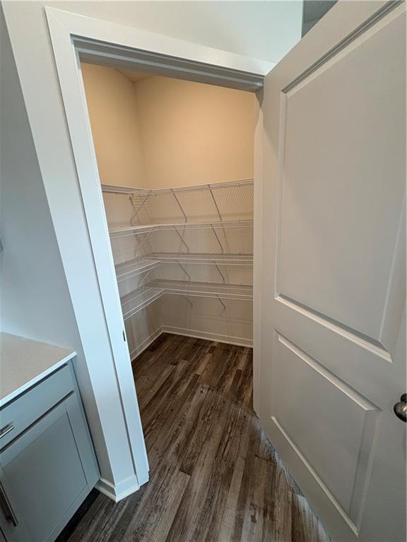 19631 W 201st St, Spring Hill, KS 66083 - view of pantry