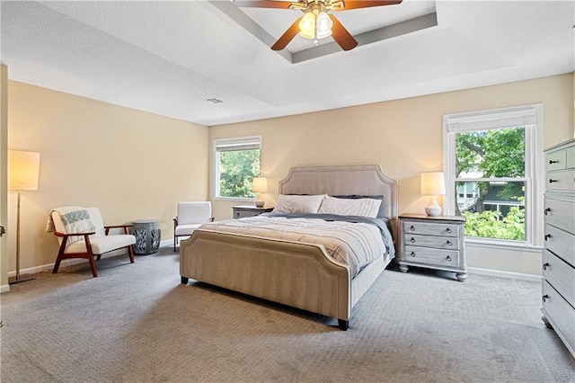 9816 W 132nd Ter, Overland Park, KS 66213 - bedroom featuring carpet, baseboards, a tray ceiling, and a ceiling fan