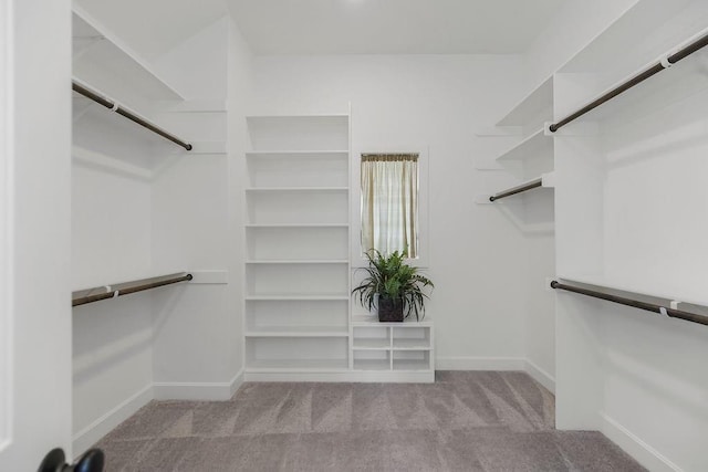 2055 NW Obrien Rd, Lees Summit, MO 64081 - walk in closet featuring carpet floors
