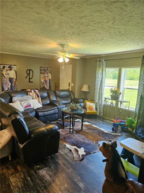 1292 255th St, Fort Scott, KS 66701 - living room with wood finished floors, a ceiling fan, a textured ceiling, and crown molding