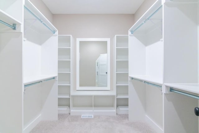 16729 Pinehurst Dr, Basehor, KS 66007 - spacious closet with carpet flooring