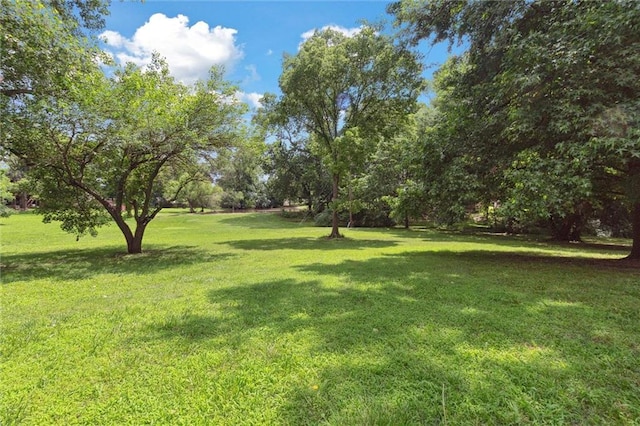 501 Taylor Rd, Independence, KS 67301 - view of green lawn featuring view of wooded area