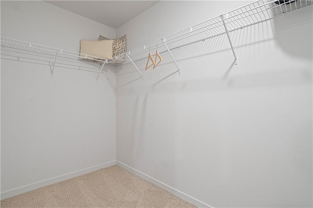 810 Bentley Dr, Belton, MO 64012 - photo 24