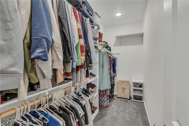 1302 N 159th St, Basehor, KS 66007 - spacious closet with carpet