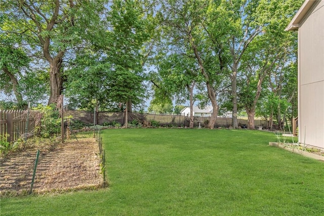 1302 N 159th St, Basehor, KS 66007 - view of yard