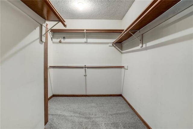10404 Flint St, Overland Park, KS 66214 - walk in closet featuring carpet