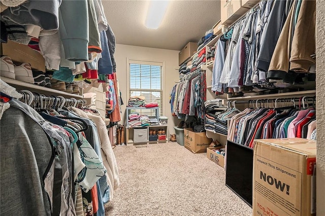10601 N Euclid Ave, Kansas City, MO 64155 - walk in closet with carpet flooring