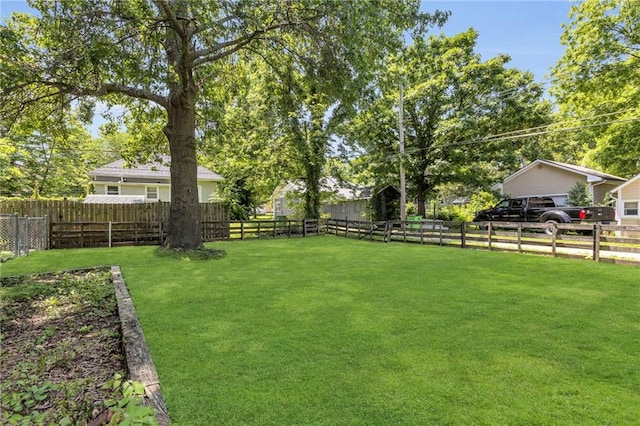 228 S Elm St, Ottawa, KS 66067 - view of yard