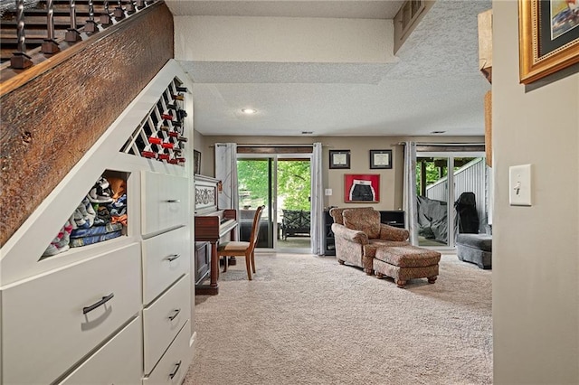 218 NE Bayview Dr, Lees Summit, MO 64064 - carpeted office space featuring plenty of natural light and a textured ceiling