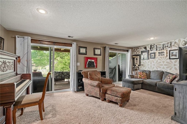 218 NE Bayview Dr, Lees Summit, MO 64064 - carpeted living room with a textured ceiling and recessed lighting