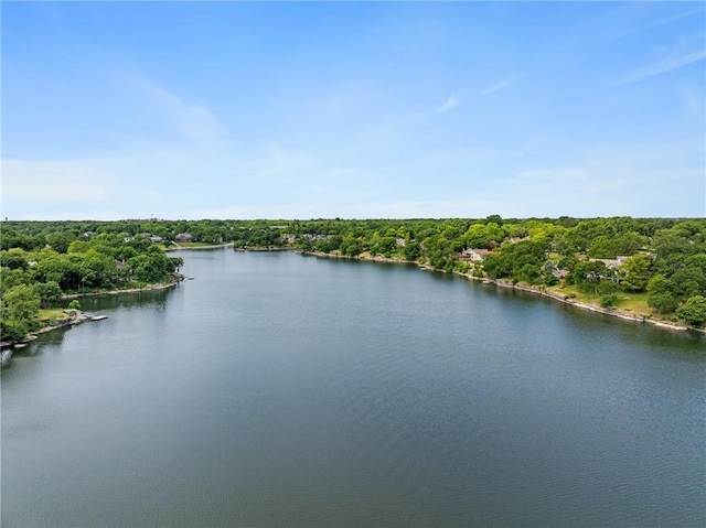 218 NE Bayview Dr, Lees Summit, MO 64064 - bird's eye view of a large body of water and a forest