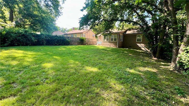 1445 E 77th St, Kansas City, MO 64131 - view of yard