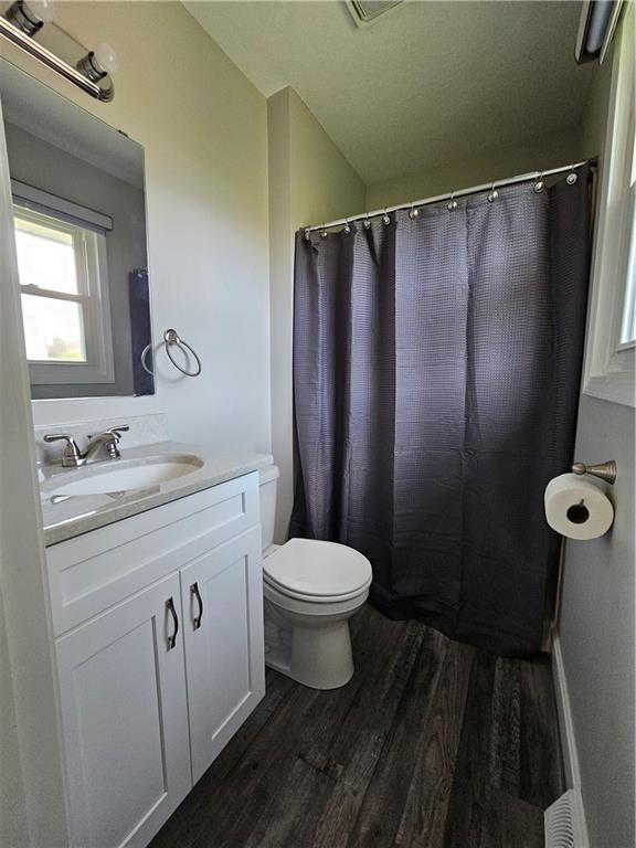 4513 Alpha Ln, Saint Joseph, MO 64506 - bathroom with wood finished floors, vanity, toilet, and curtained shower