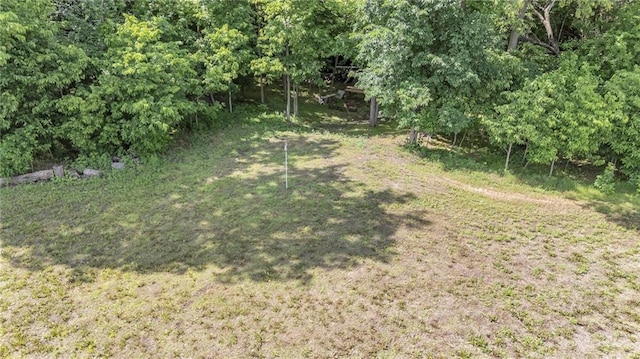 2363 Bainbridge Rd, Bates City, MO 64011 - view of yard