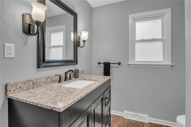1018 S Elm St, Ottawa, KS 66067 - bathroom with wood finished floors, vanity, toilet, and healthy amount of natural light
