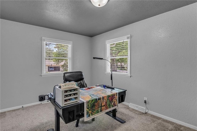 1018 S Elm St, Ottawa, KS 66067 - office area featuring healthy amount of natural light, baseboards, carpet flooring, a textured ceiling, and a textured wall
