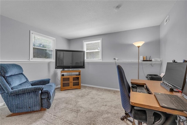 1018 S Elm St, Ottawa, KS 66067 - office space featuring healthy amount of natural light, carpet floors, a textured ceiling, and baseboards