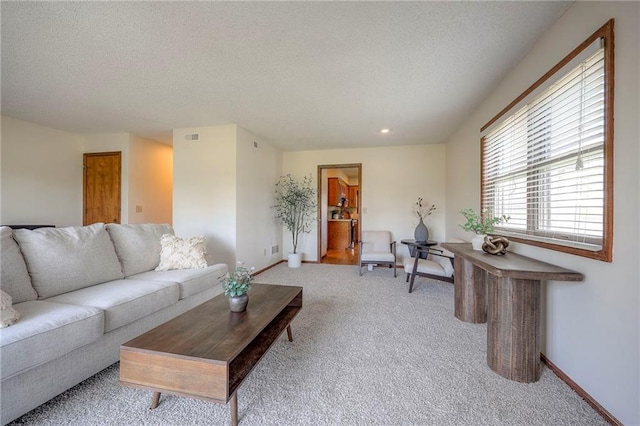 1101 Jeff Cir, Paola, KS 66071 - living room featuring carpet, a textured ceiling, and baseboards