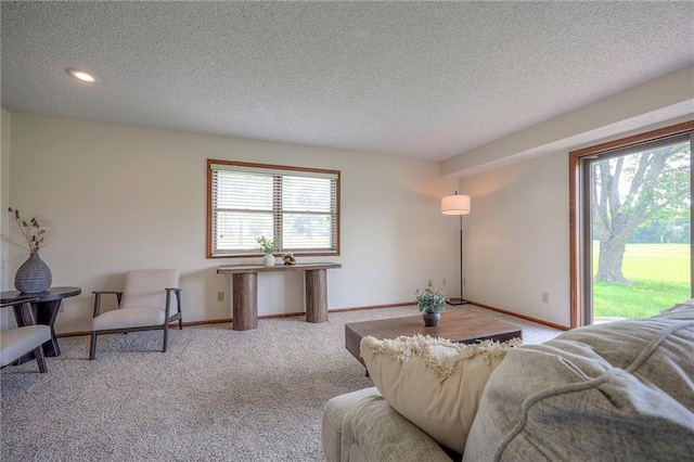 1101 Jeff Cir, Paola, KS 66071 - carpeted living area with healthy amount of natural light, a textured ceiling, and baseboards