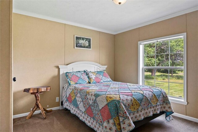 28103 S Little Rd, Garden City, MO 64747 - photo 21