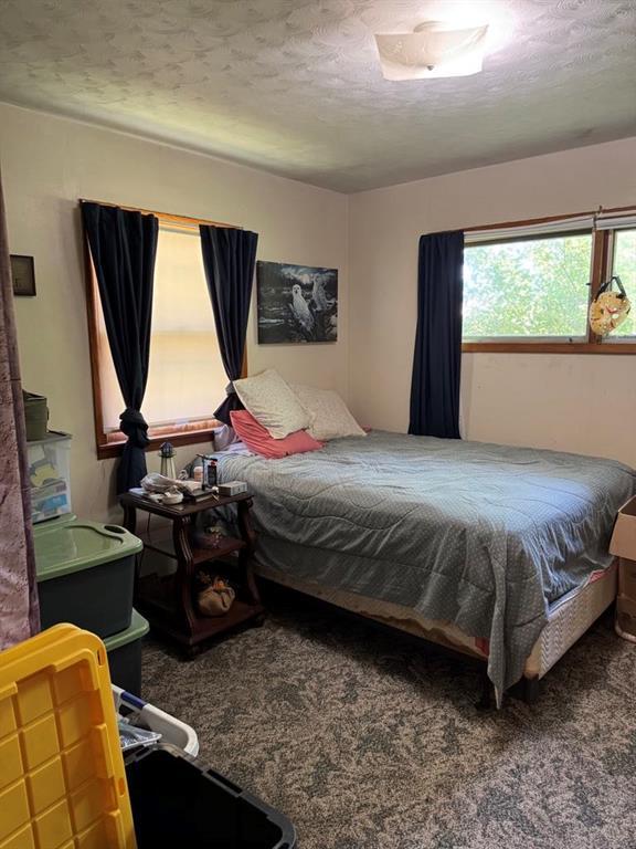 205 N Cherokee St, Girard, KS 66743 - bedroom featuring carpet floors and a textured ceiling