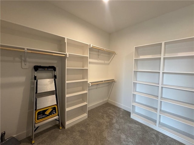 11494 S Longview Rd, Olathe, KS 66061 - walk in closet with dark carpet