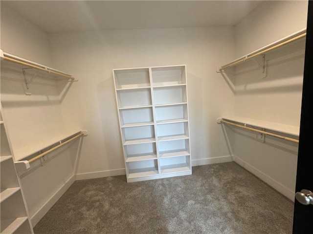 11494 S Longview Rd, Olathe, KS 66061 - spacious closet with carpet flooring
