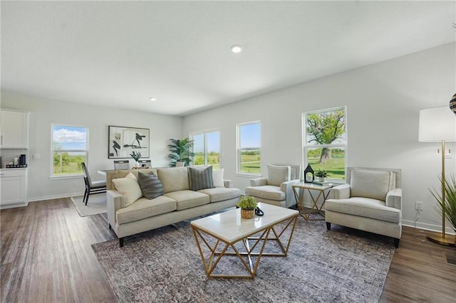 24810 178th Ct, Gardner, KS 66030 - living area featuring plenty of natural light, wood finished floors, baseboards, and recessed lighting