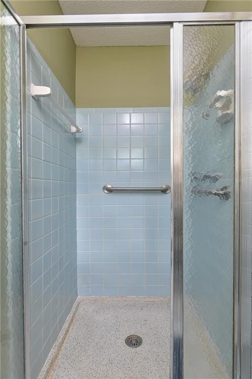 12614 Ensley Ln, Leawood, KS 66209 - full bathroom featuring a stall shower and speckle patterned floor