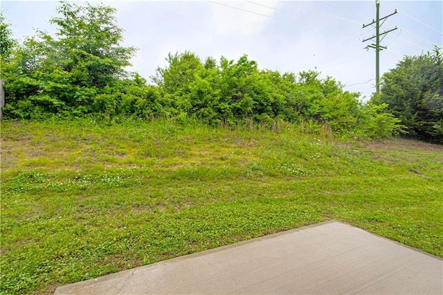 214 N Mcgee St, Tonganoxie, KS 66086 - view of yard