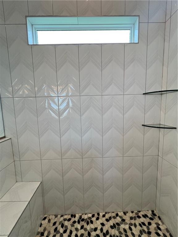 16311 Mustang St, Gardner, KS 66030 - bathroom with healthy amount of natural light and tiled shower