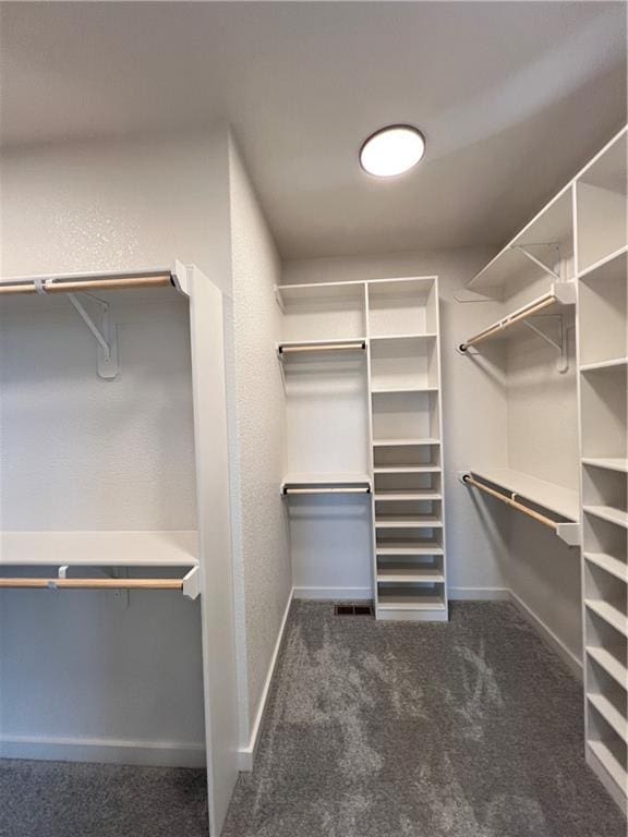 16311 Mustang St, Gardner, KS 66030 - walk in closet with carpet flooring