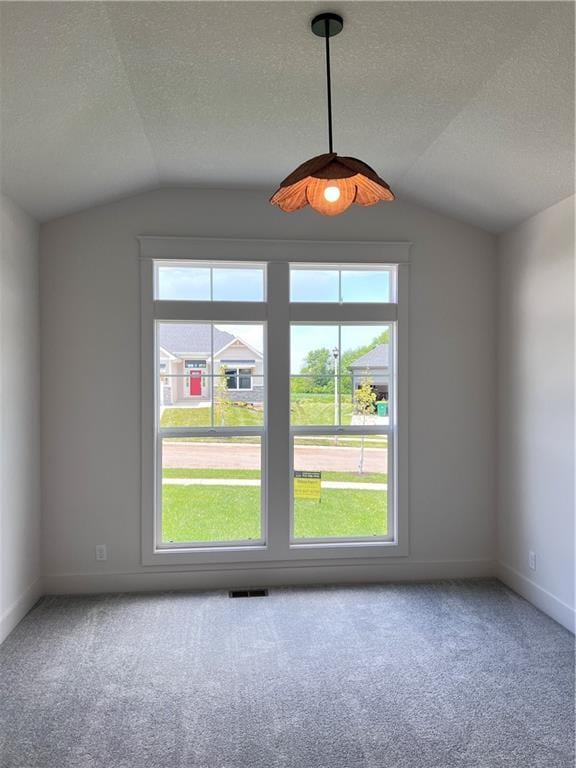 16311 Mustang St, Gardner, KS 66030 - spare room featuring lofted ceiling, carpet floors, baseboards, and a textured ceiling